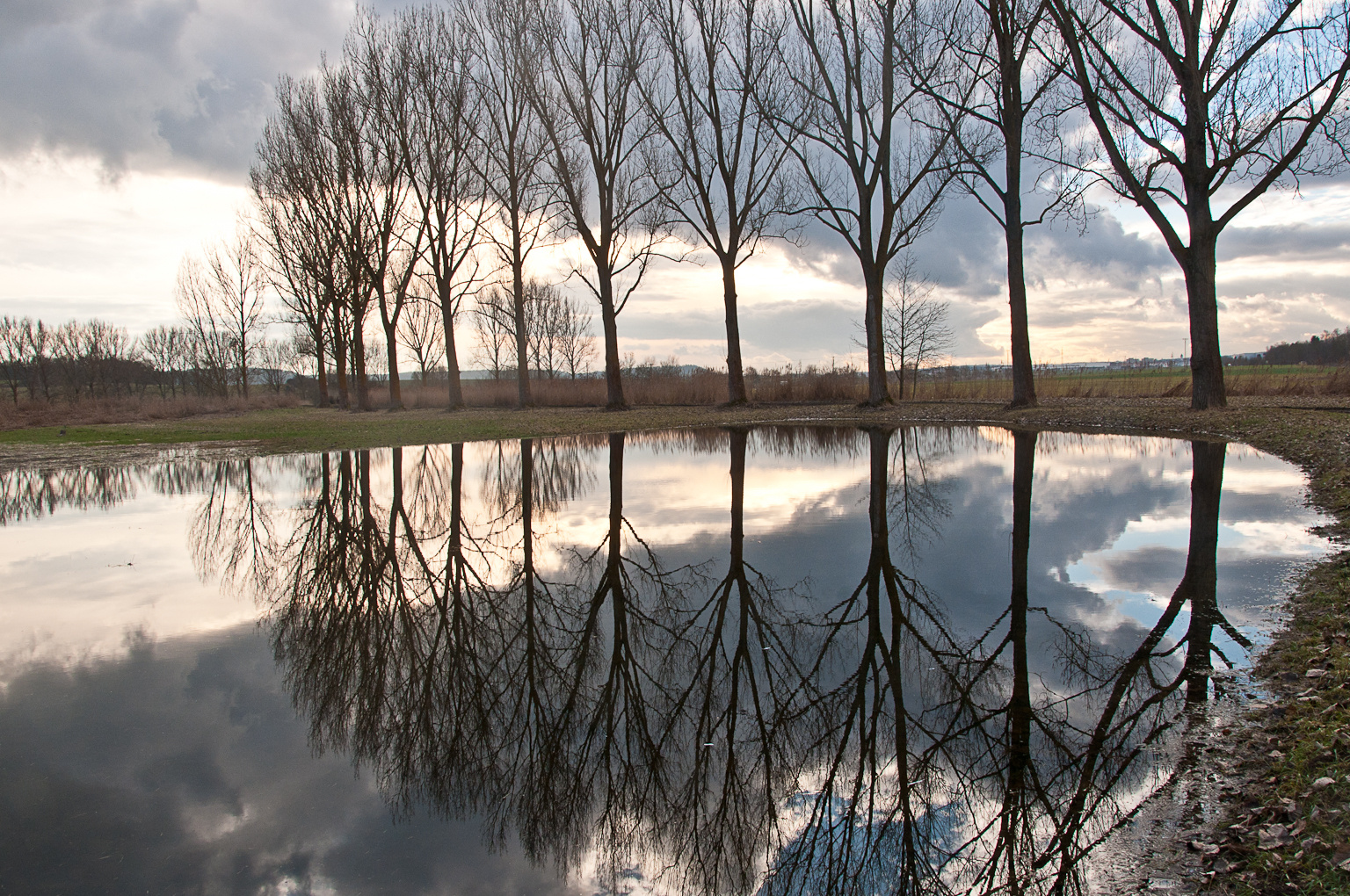 Spiegelung im Teich