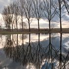 Spiegelung im Teich