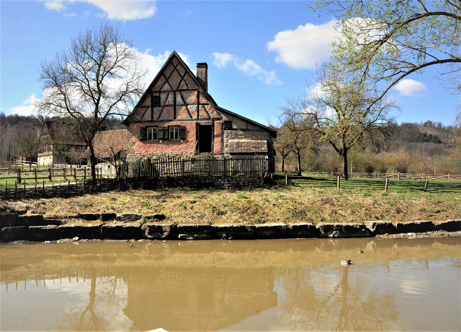 Spiegelung im Teich 