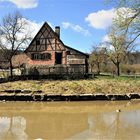 Spiegelung im Teich 