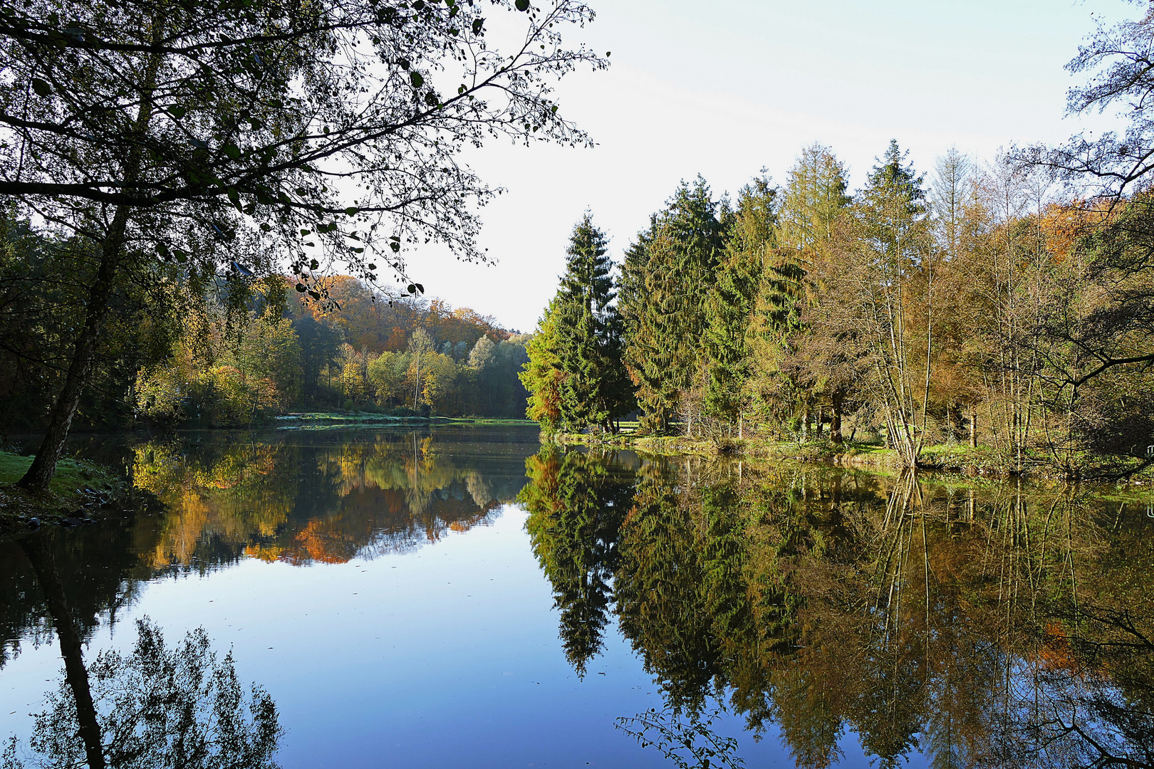 Spiegelung im Teich Foto & Bild wasser, teich, natur Bilder auf