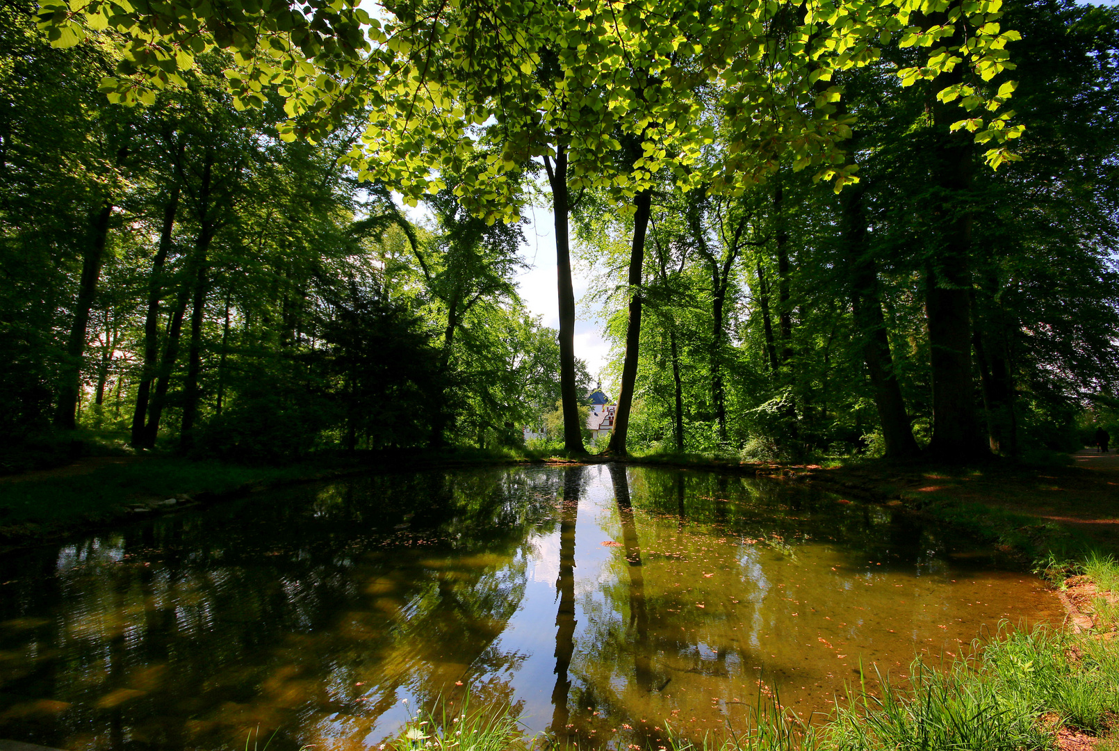 Spiegelung im Teich