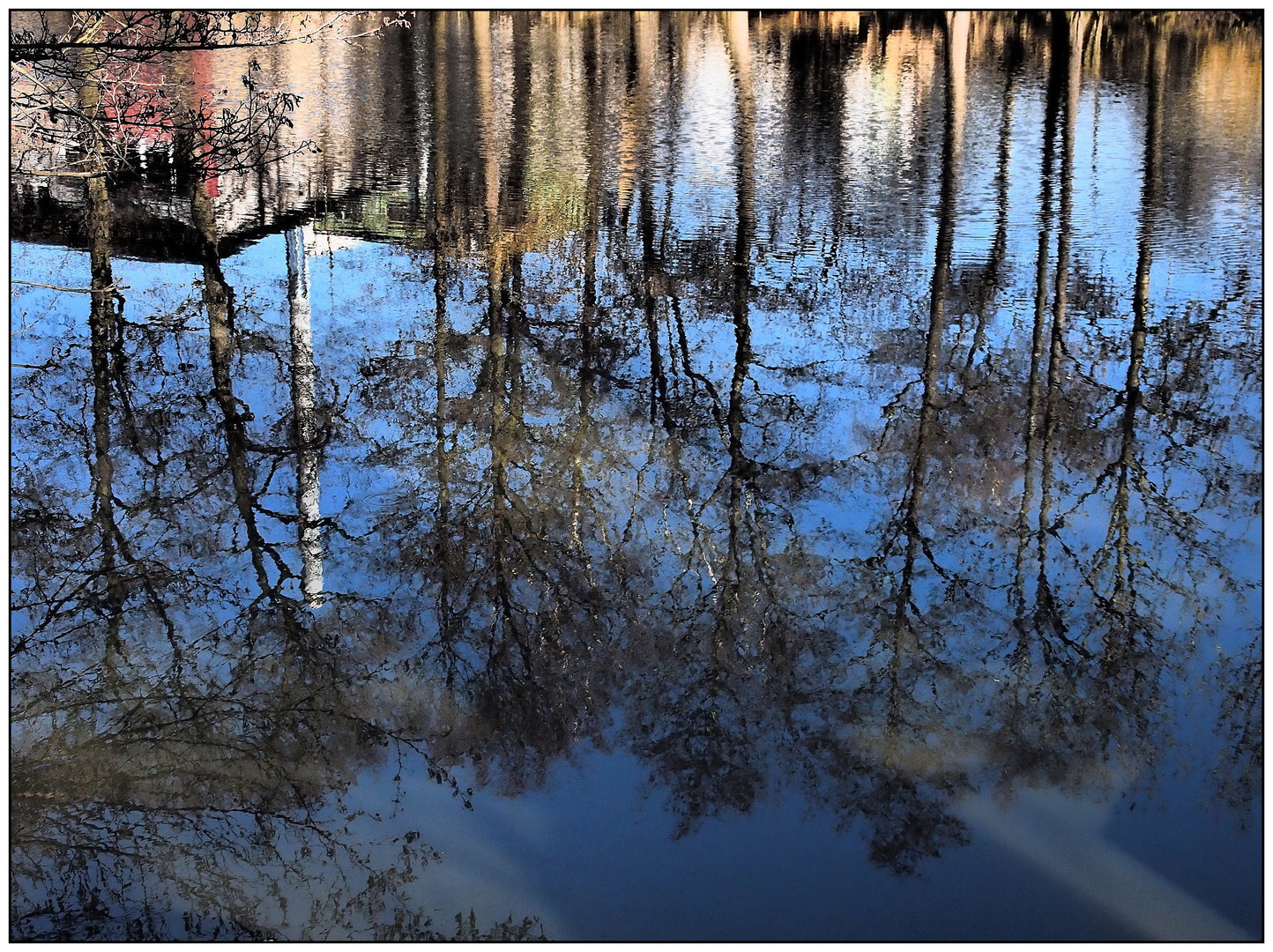 Spiegelung im Teich