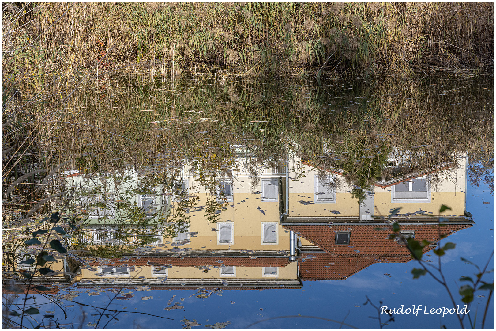 Spiegelung im Teich