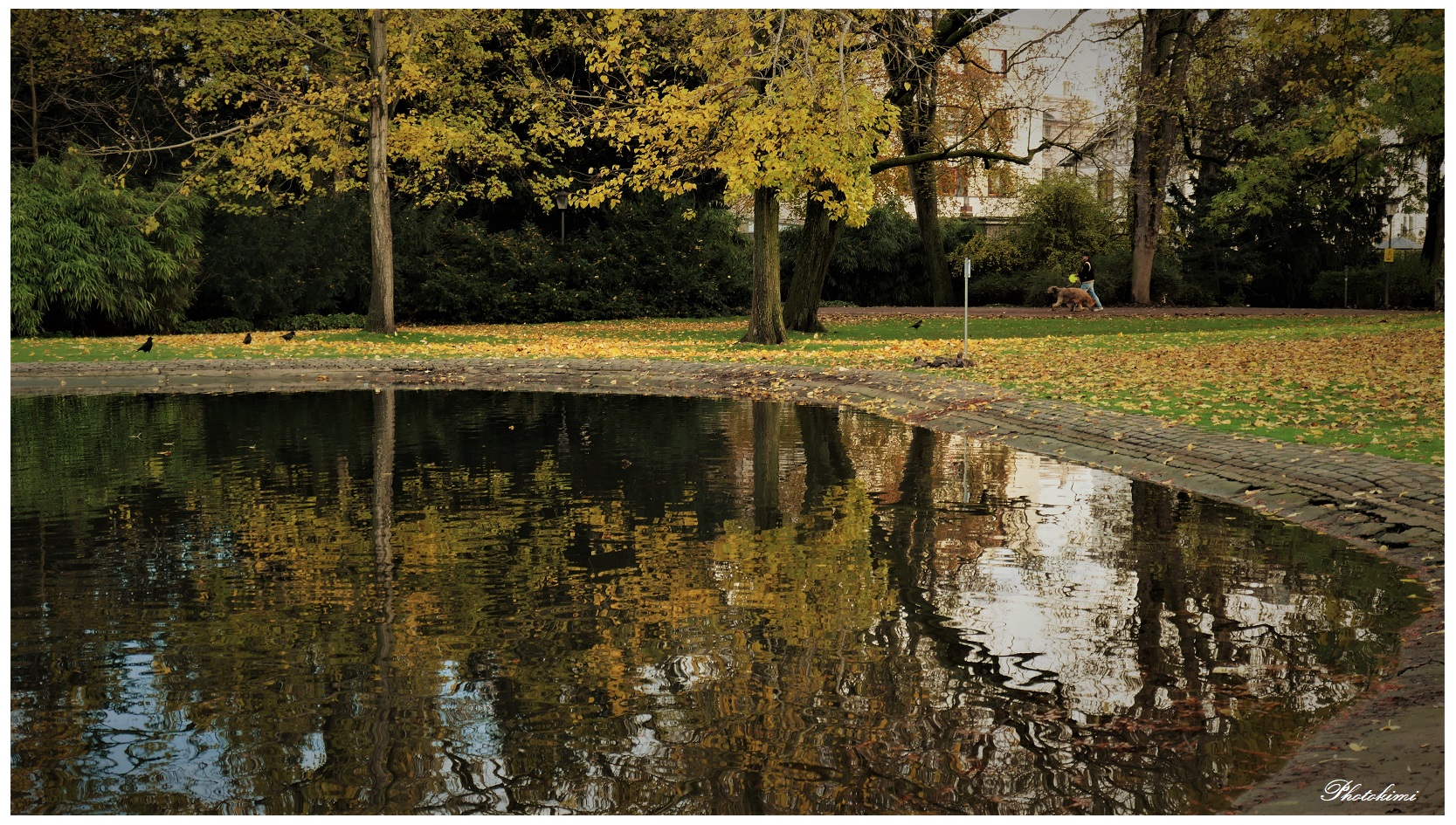 Spiegelung im Teich (II)