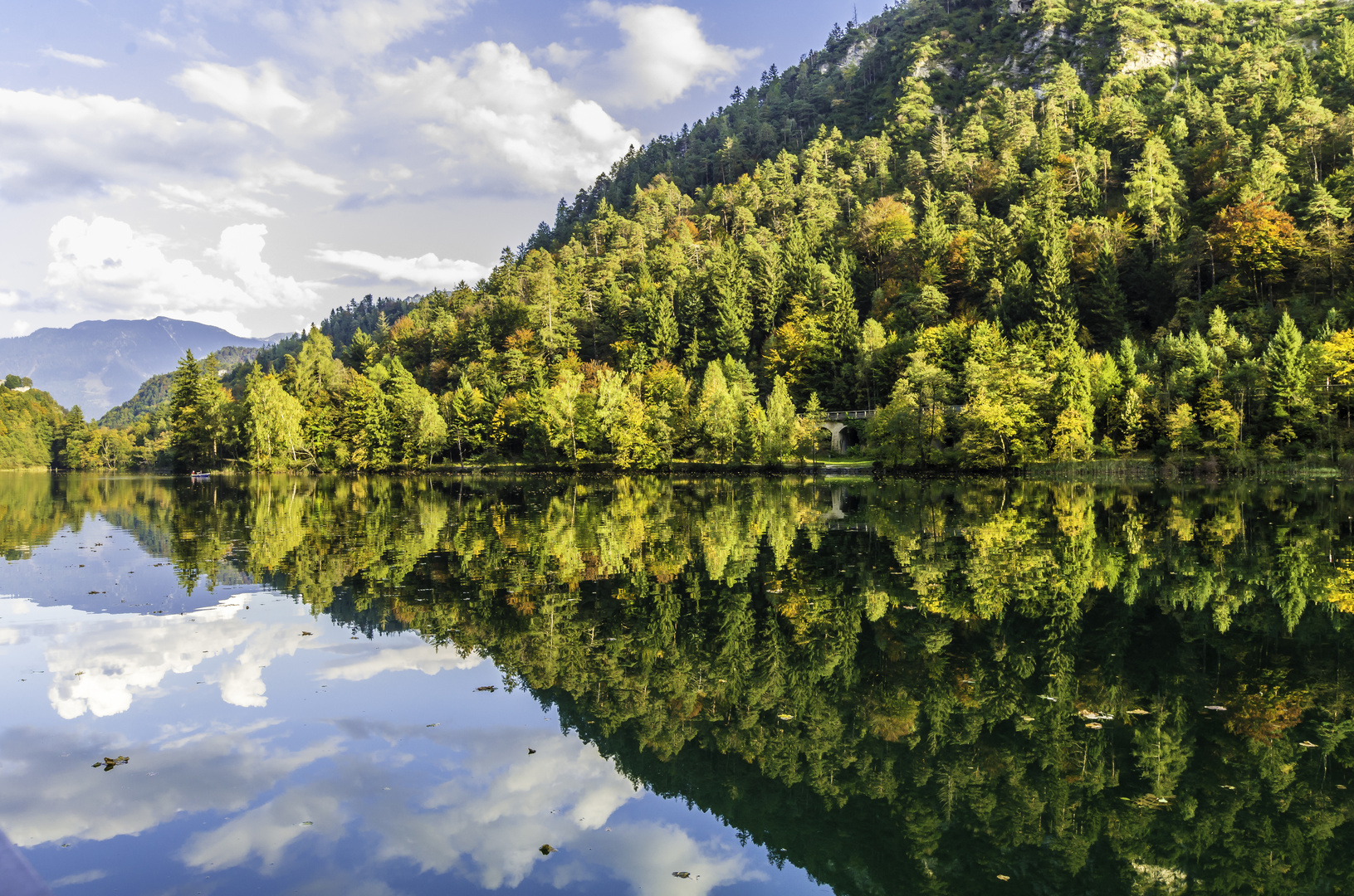 Spiegelung im Thumsee