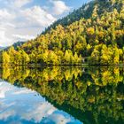 Spiegelung im Thumsee