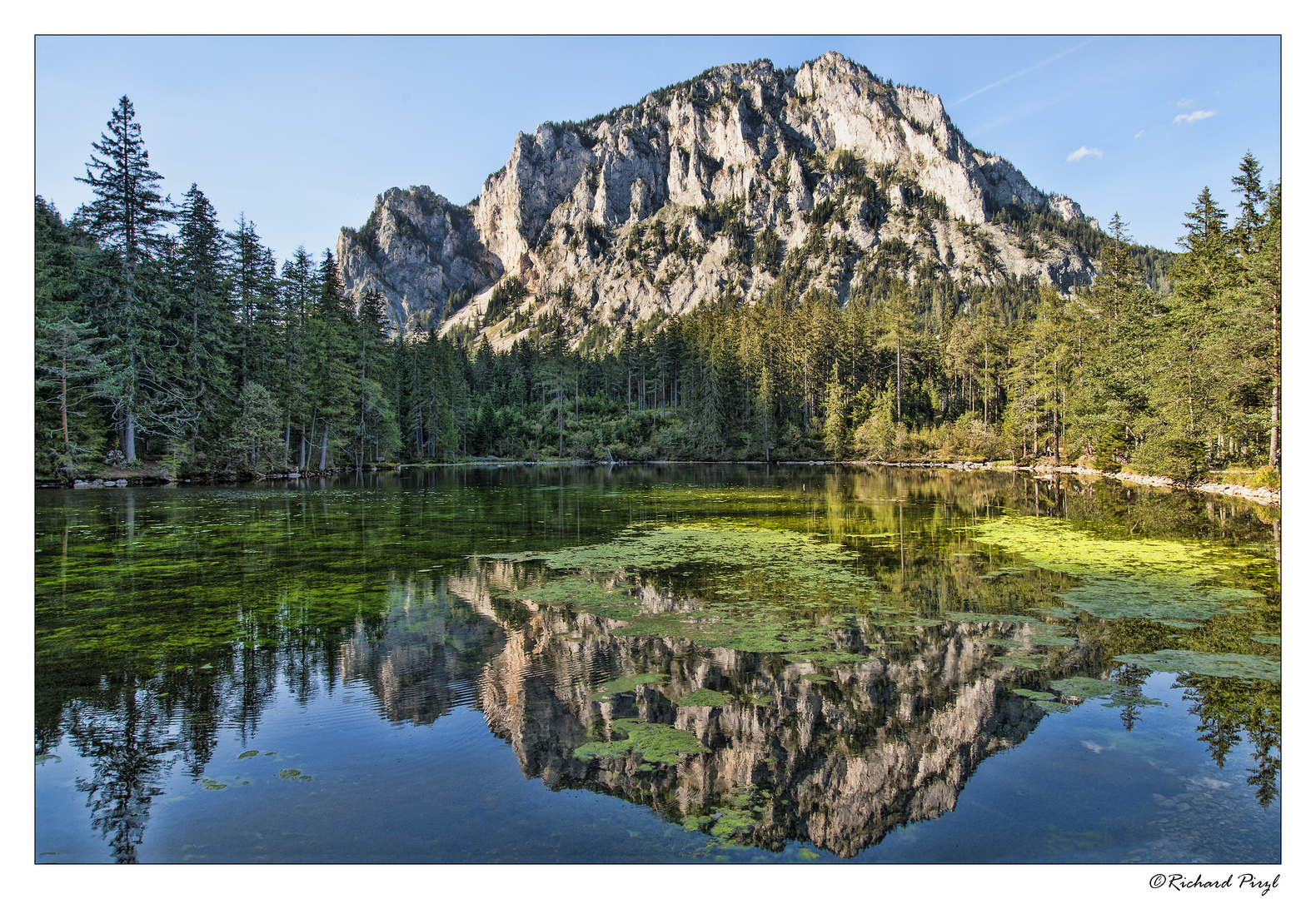 Spiegelung im Trinkwasserteich