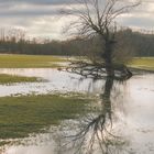 Spiegelung im Überrschemmungsbereich