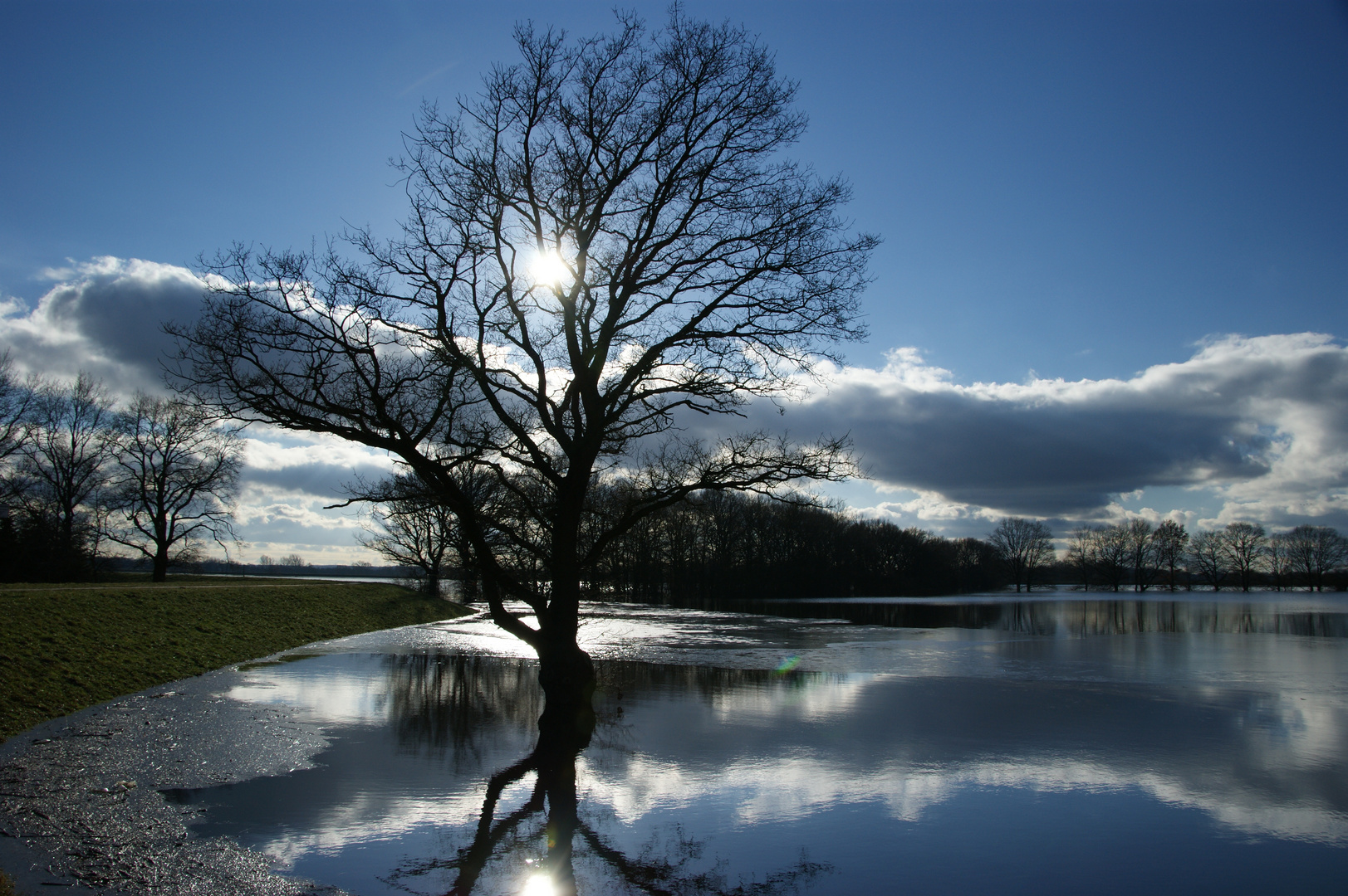 Spiegelung im Überschwemmungshochwasser