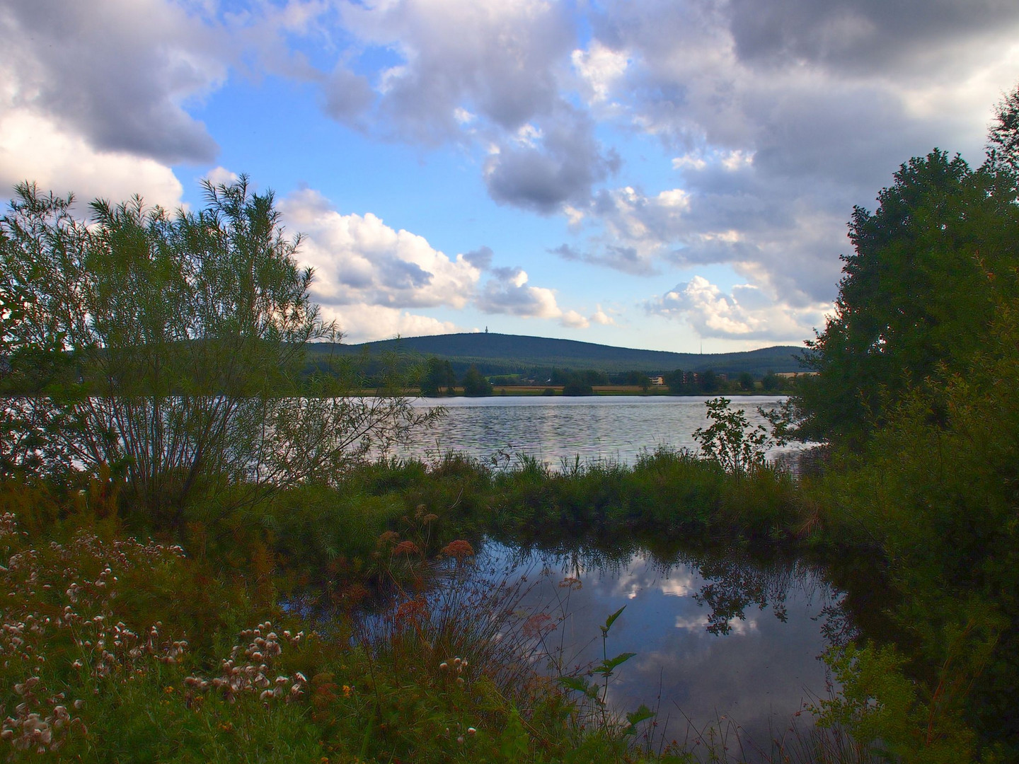 Spiegelung im Vogelschutzgebiet