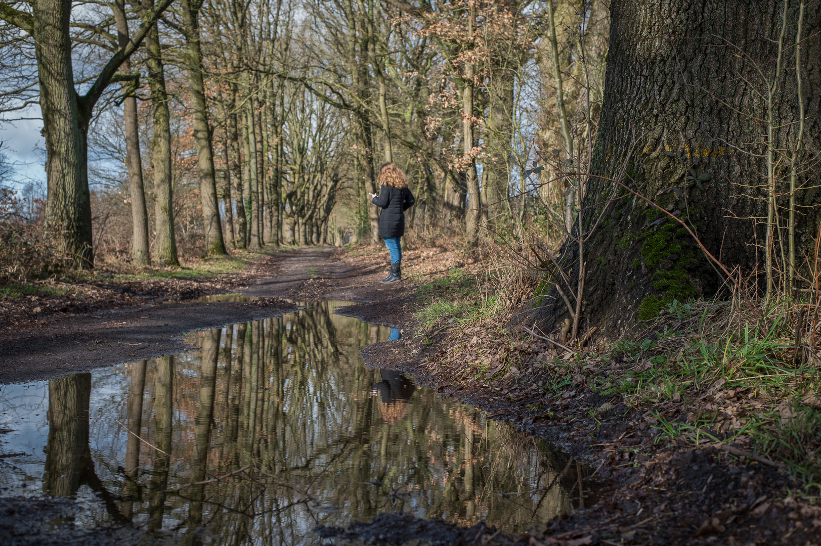 Spiegelung im Wald