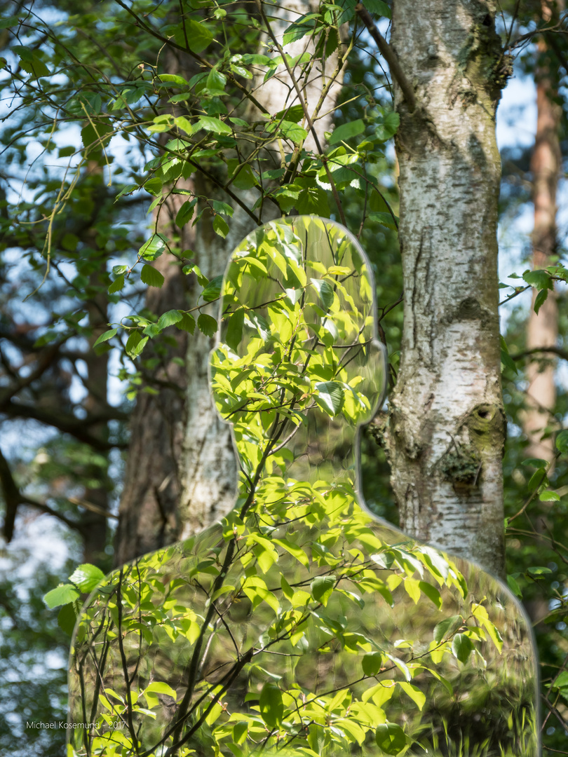 Spiegelung im Wald I