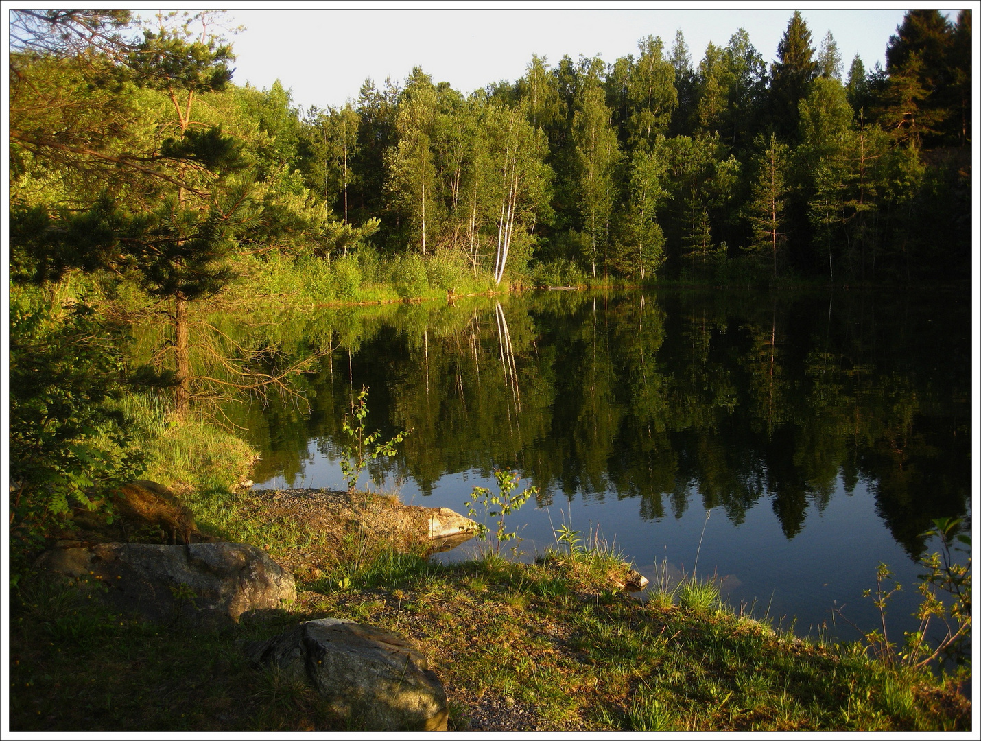 Spiegelung im Waldsee