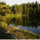 Spiegelung im Waldsee