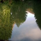 spiegelung im waldsee