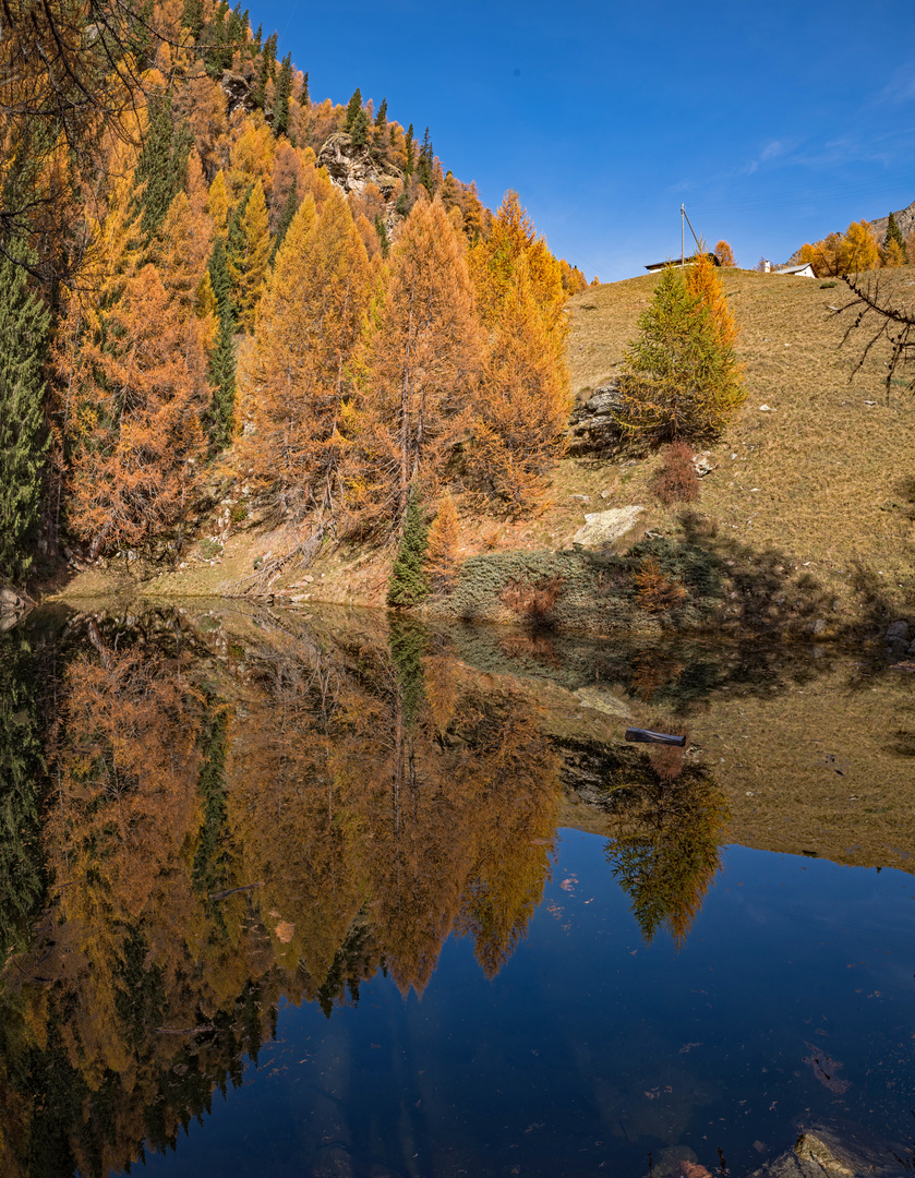 Spiegelung im Waldsee