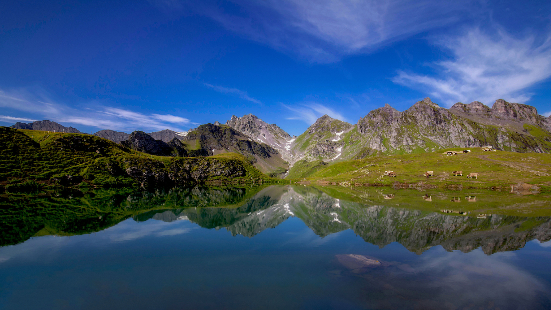 Spiegelung im Wanger See