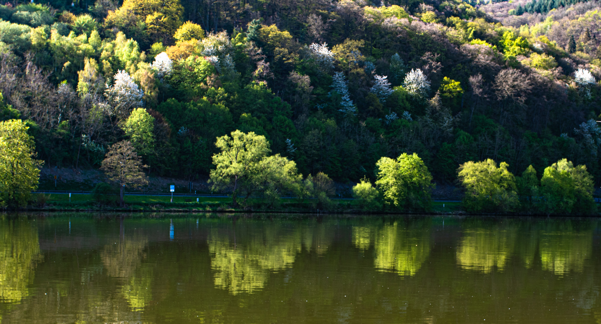 Spiegelung im Wasser 0223-2