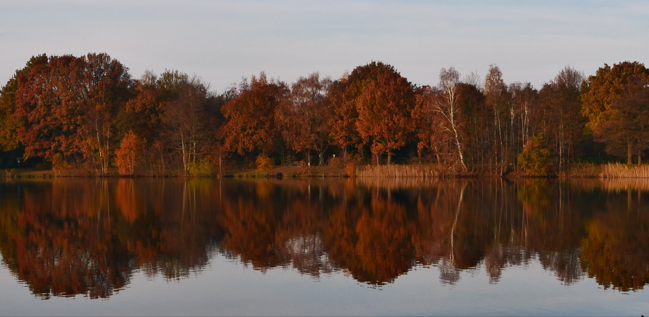 Spiegelung im Wasser 