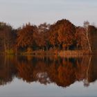 Spiegelung im Wasser 