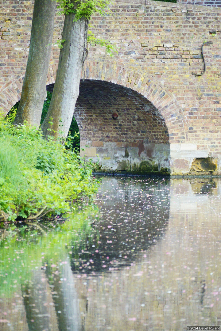 Spiegelung im Wasser # 1