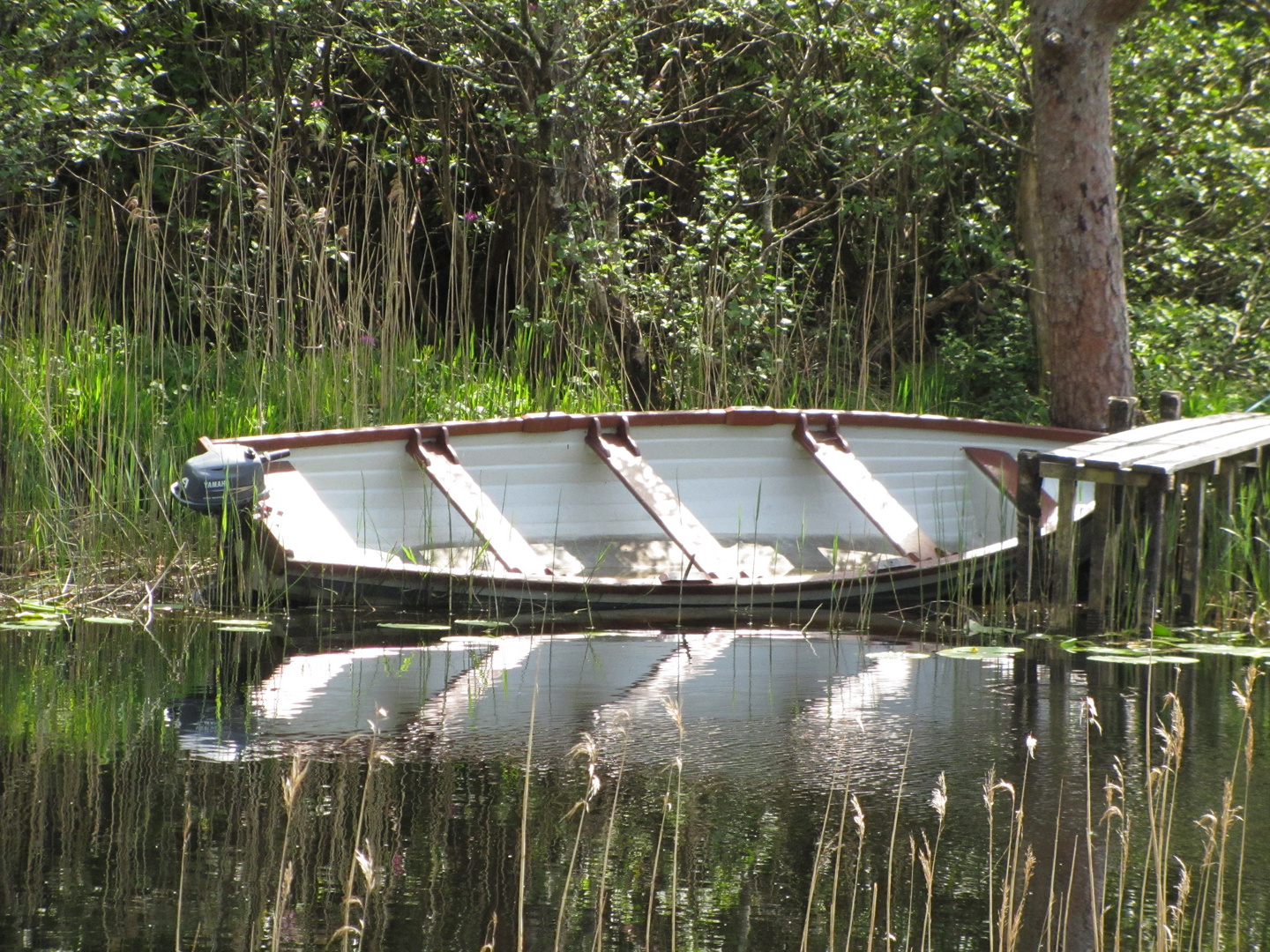 spiegelung im Wasser