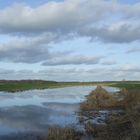 Spiegelung im Wasser