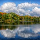 Spiegelung im Wasser..