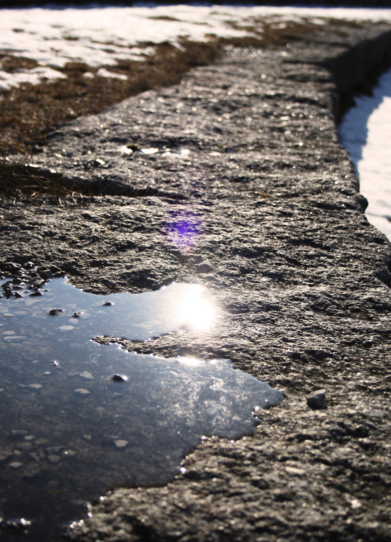 Spiegelung im Wasser