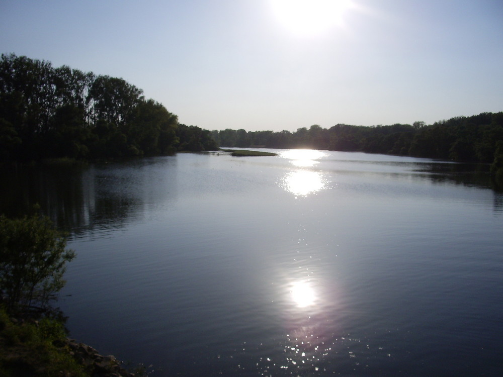 Spiegelung im Wasser