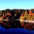 Spiegelung im wasser