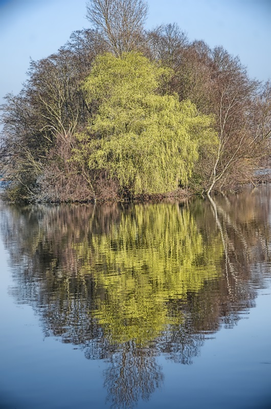 Spiegelung im Wasser