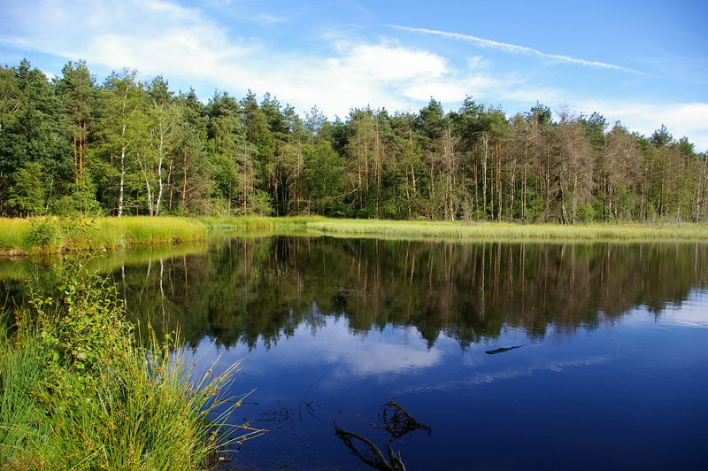 Spiegelung im Wasser