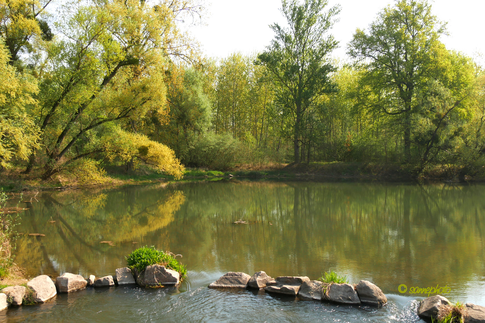 Spiegelung im Wasser