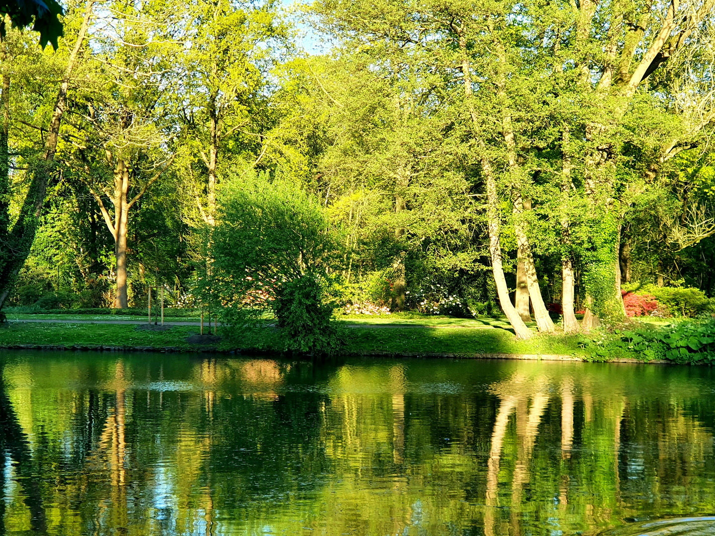 Spiegelung im Wasser 