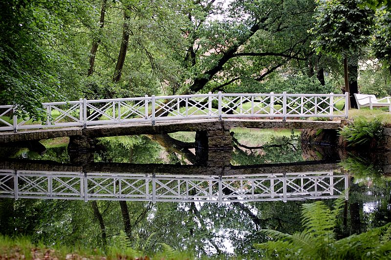 Spiegelung im Wasser