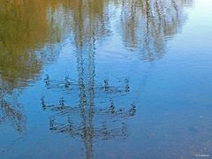 Spiegelung im Wasser