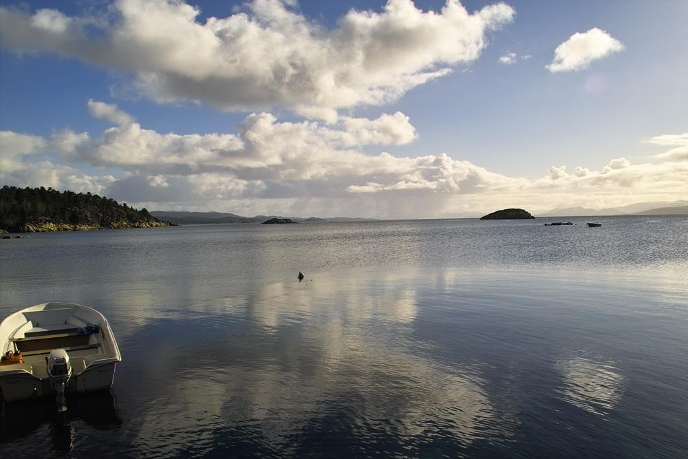 Spiegelung Im Wasser