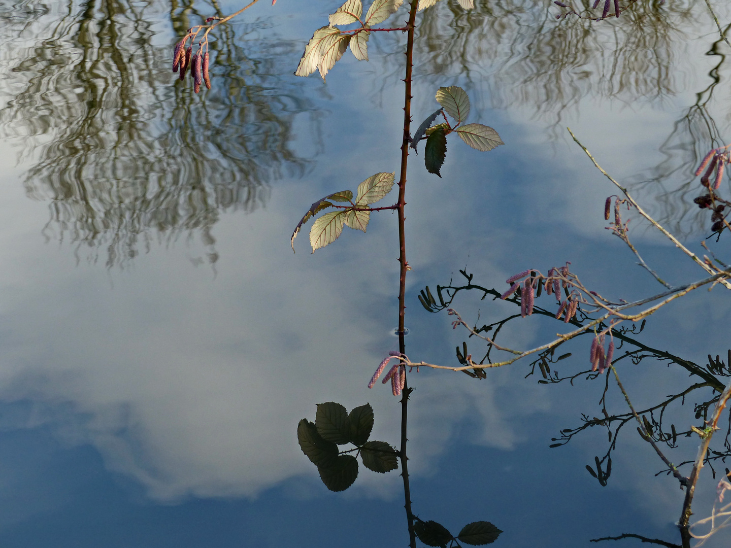 Spiegelung im Wasser