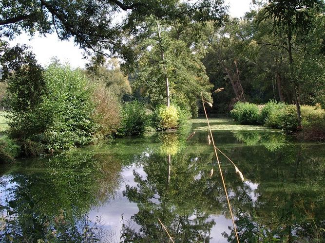 Spiegelung im Wasser