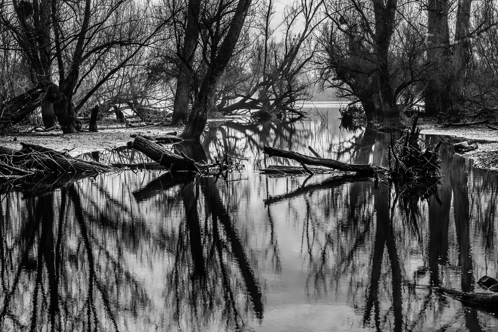 Spiegelung im Wasser