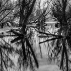 Spiegelung im Wasser