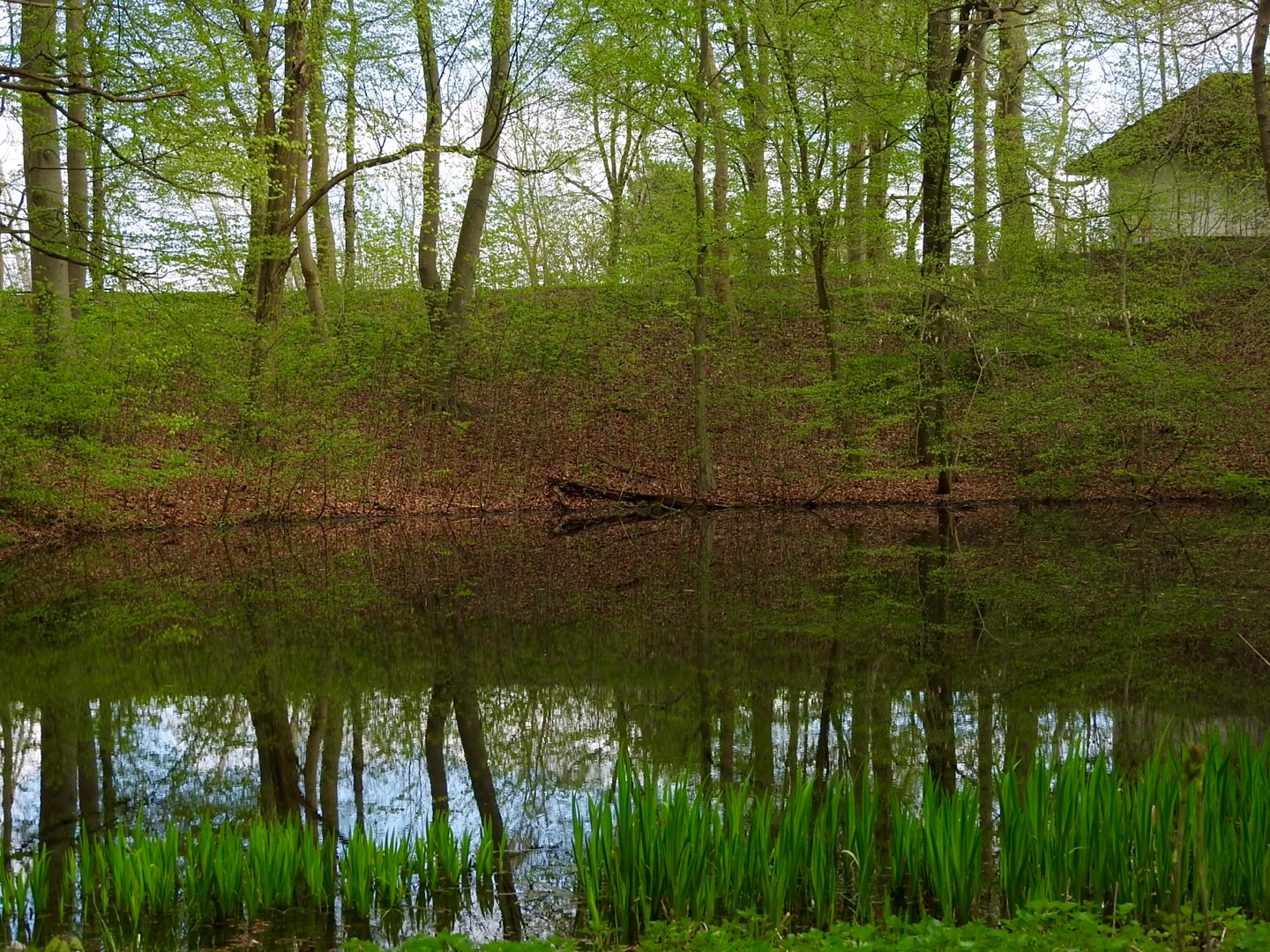 Spiegelung im Wasser 