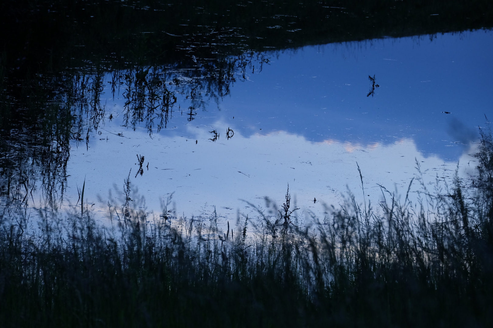 Spiegelung im Wasser