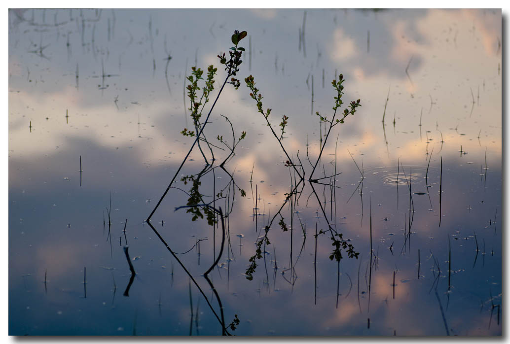 Spiegelung im Wasser