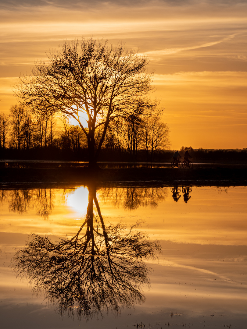 Spiegelung im Wasser