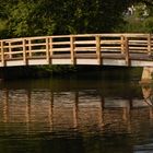 Spiegelung im Wasser