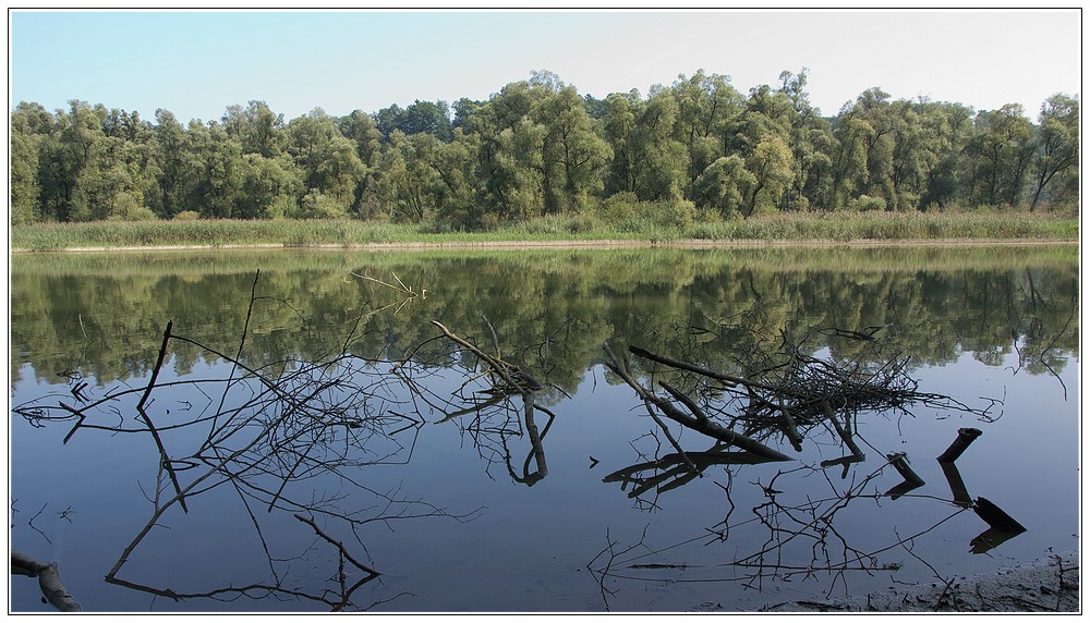 Spiegelung im Wasser