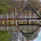 Spiegelung im Wasser des Kurparkteiches